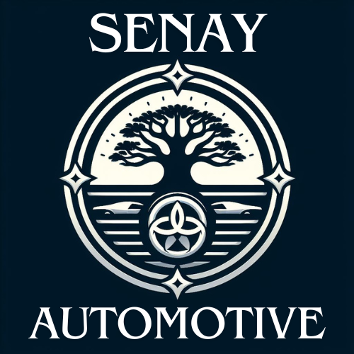 Senay.png.c46db8fa62f66b6294397182db4e8bb9.png