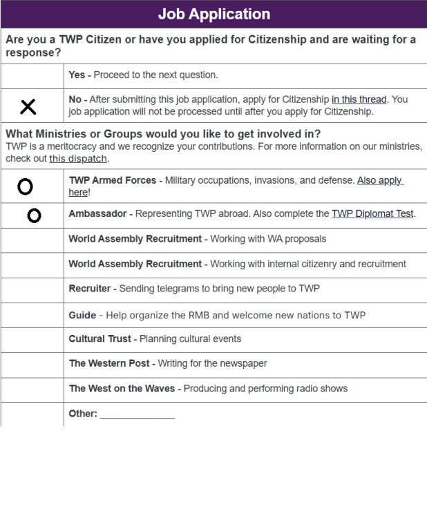 ambasandor applacation.png